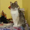 Отзыв от Алина Судакова
